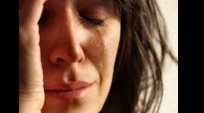 The Schools are Back!!!