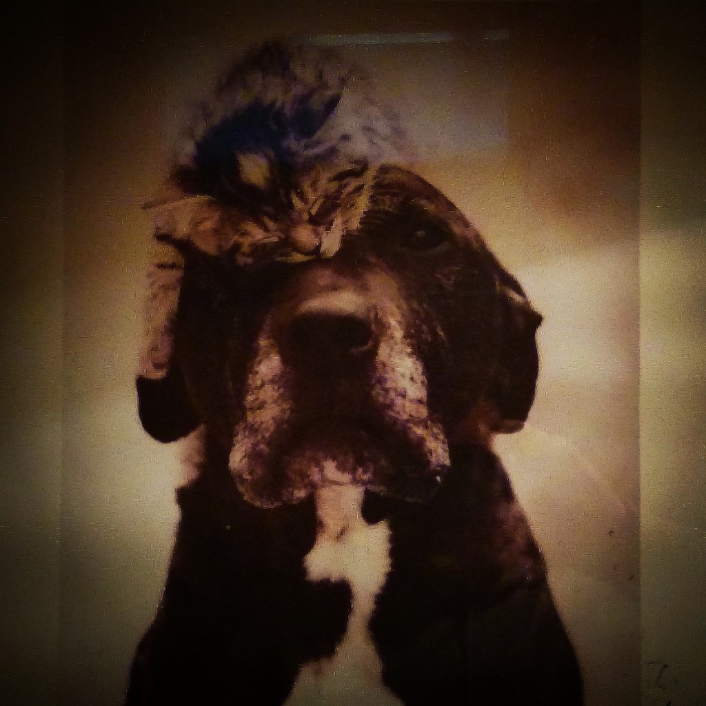 Wouldn’t care if he was selling nuclear weapons to&nbsp;children