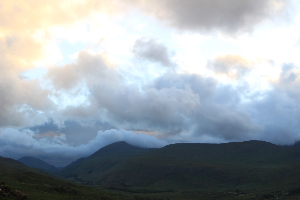 The Zombie Apocalypse