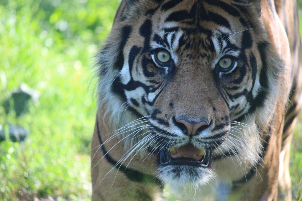 So tell me your&nbsp;faults