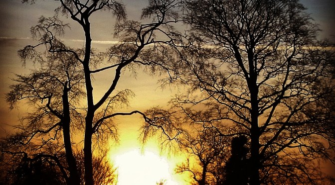 Being Social has never been so Anti-Social