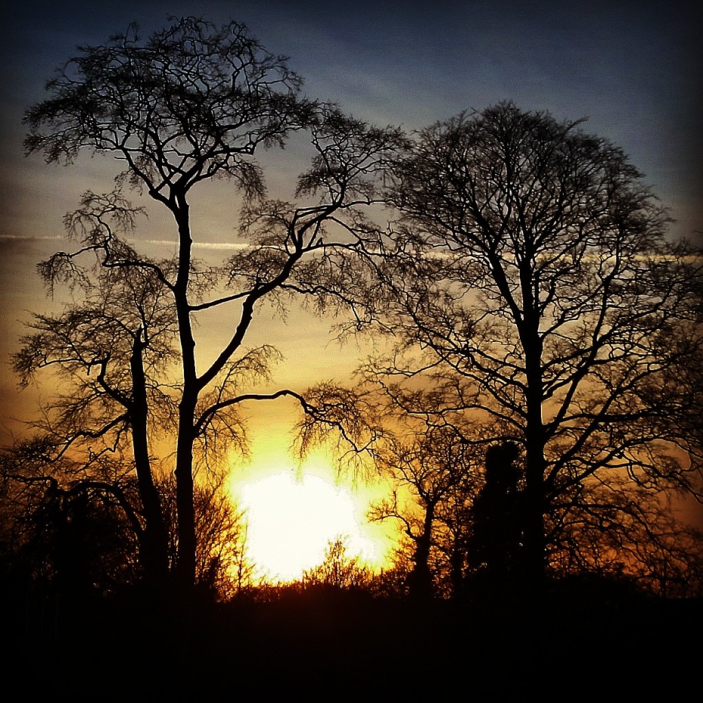 Being Social has never been so&nbsp;Anti-Social