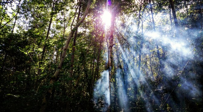 Dancing with your Shadow