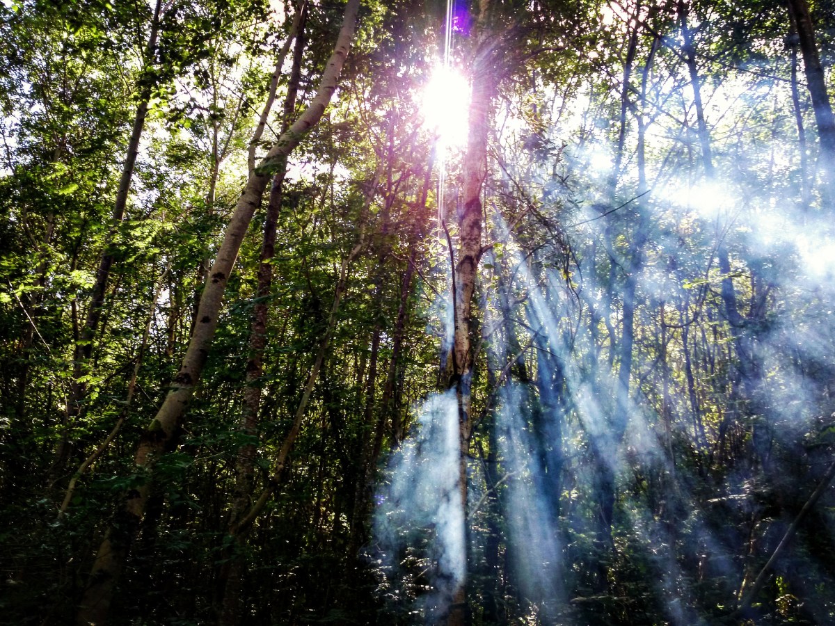 Dancing with your&nbsp;Shadow