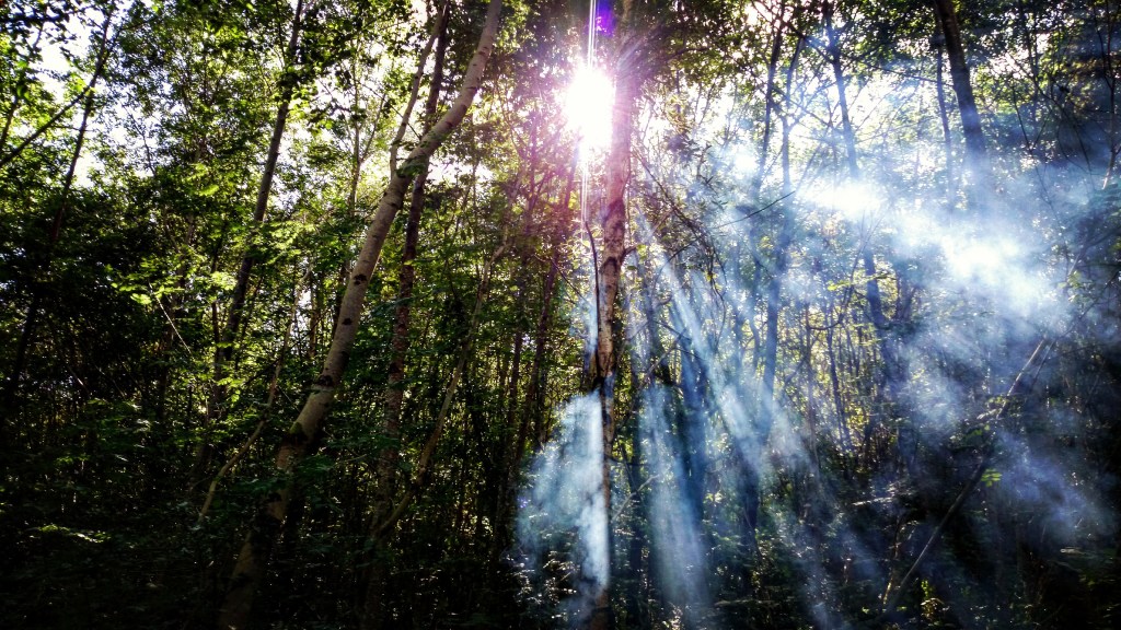 Dancing with your&nbsp;Shadow